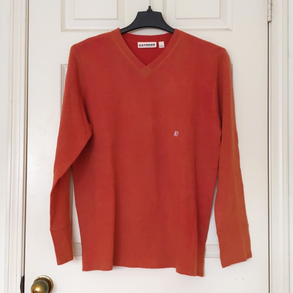 NWT. Express Precision Fit Men's 100% lambswool V-Neck sweater.
